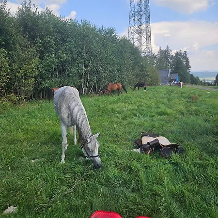 Maxe švabinského Penzion 3*