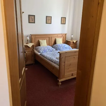 Maxe Svabinskeho Guest house *