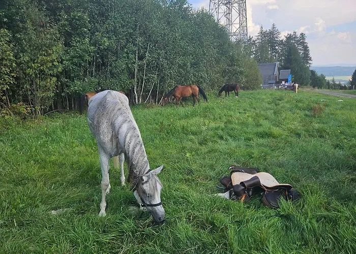 Maxe švabinského Penzion 3*